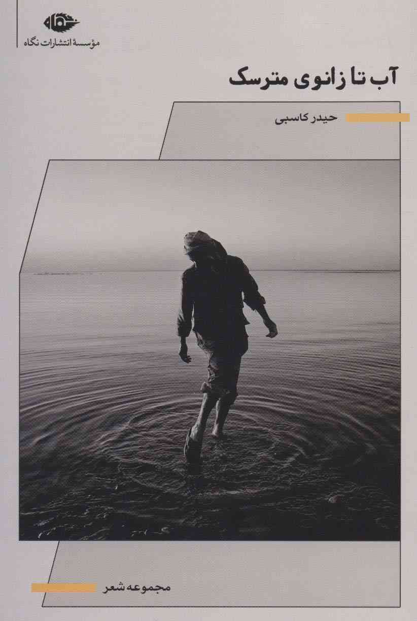آب تا زانوی مترسک (مجموعه شعر)