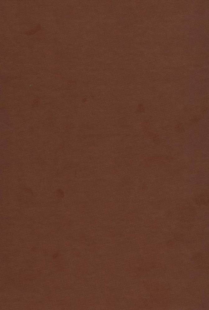 دیوان حافظ به انضمام فال (طرح مس برجسته،2طرح)،(باقاب،چرم)