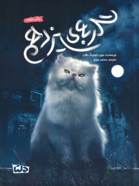 گربه ی سیزدهم