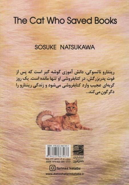 گربه ای که کتاب ها را نجات داد