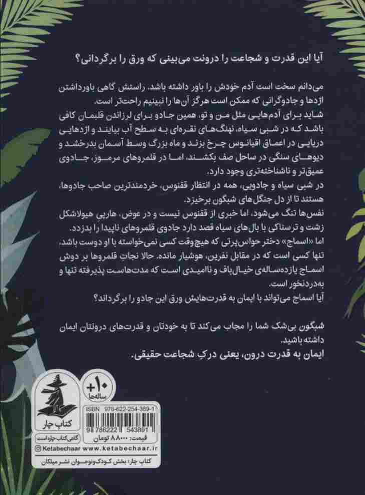 شبگون