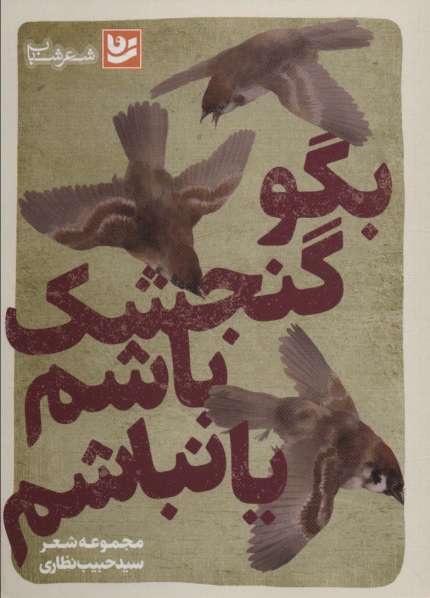 بگو گنجشک باشم یا نباشم (شعر شباب29)
