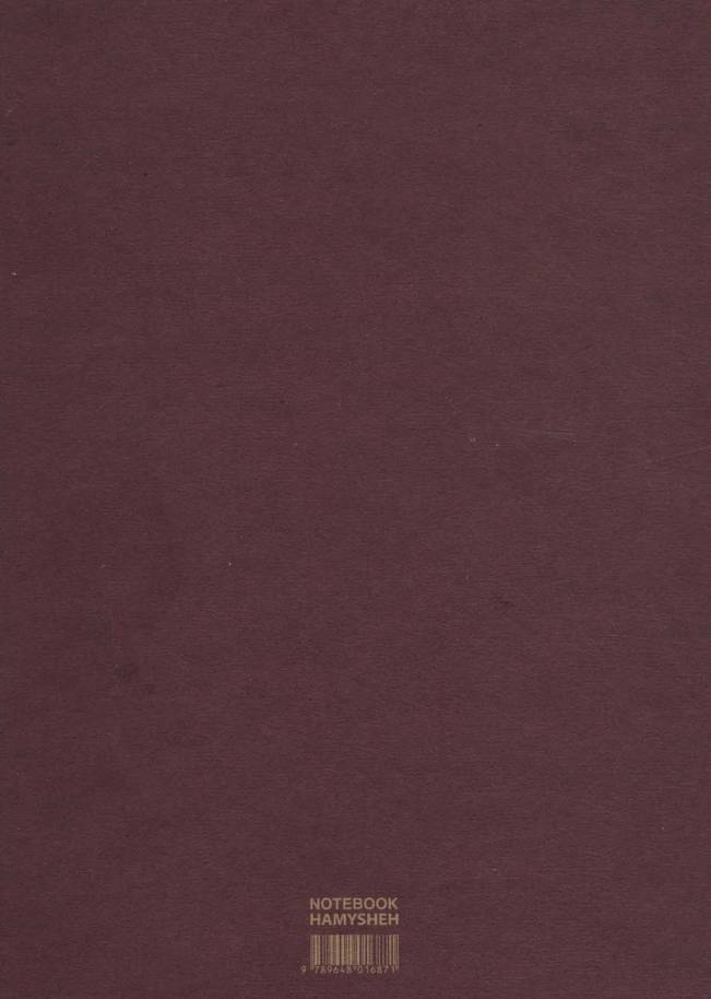 دفتر ترکیبی:خط دار،بی خط،شطرنجی (MULTIPAPER NOTEBOOK،کد871)