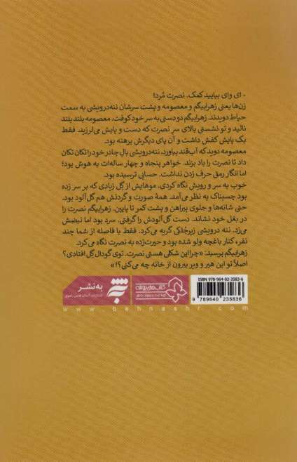 شبحی در پشت بام