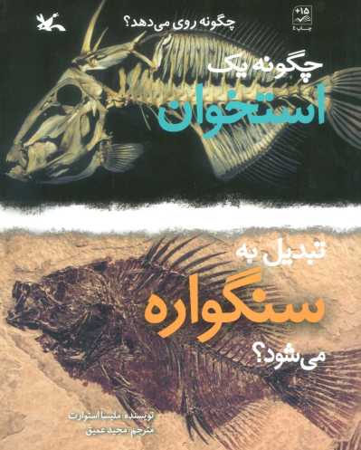 چگونه یک استخوان تبدیل به سنگواره می شود؟