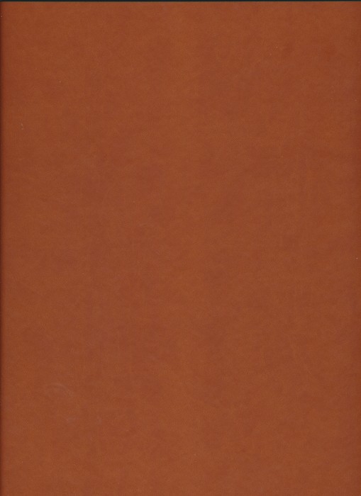 ساغر و ساقی (5رنگ،2زبانه،گلاسه،باقاب،ترمو)