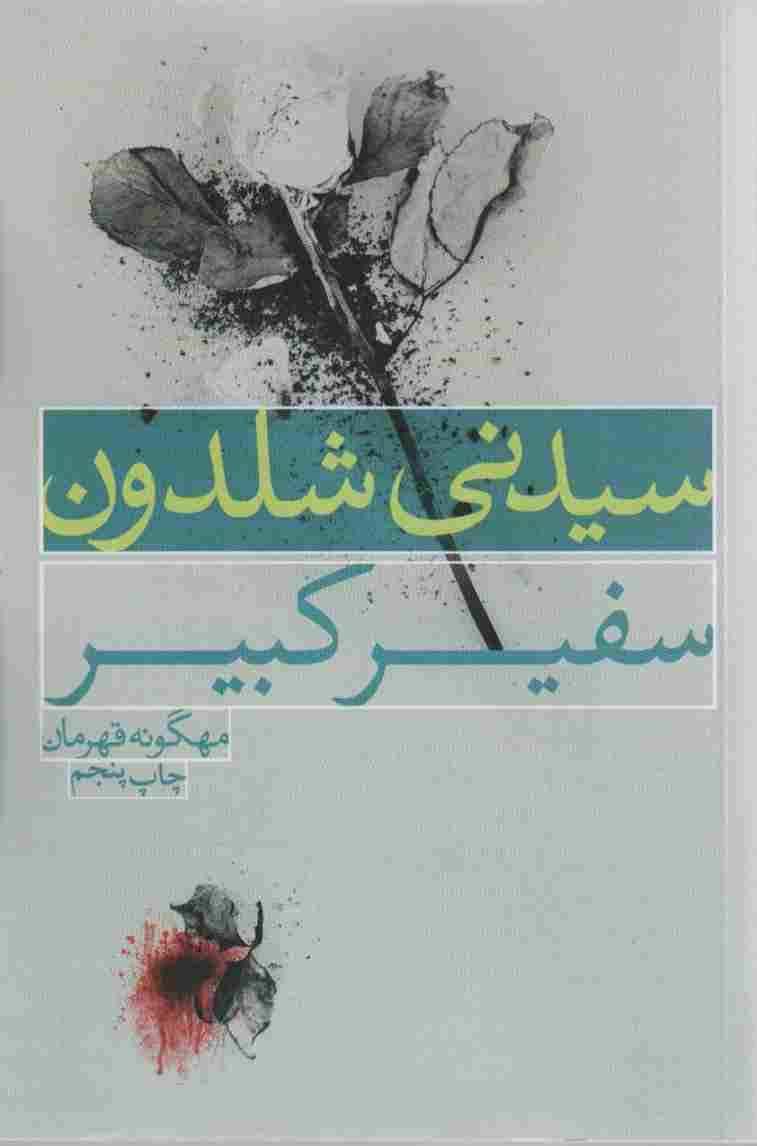 سفیر کبیر