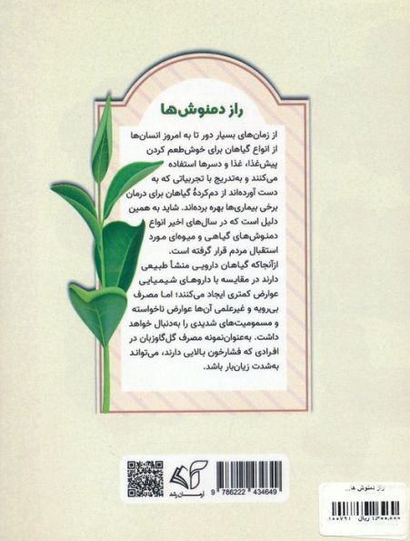 راز دمنوش ها (یک فنجان سلامتی)