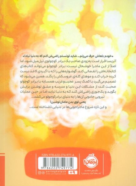 قانون خواهر برادری