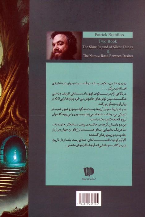 نگاهی آرام در سکوت و راه باریک میان آرزوها
