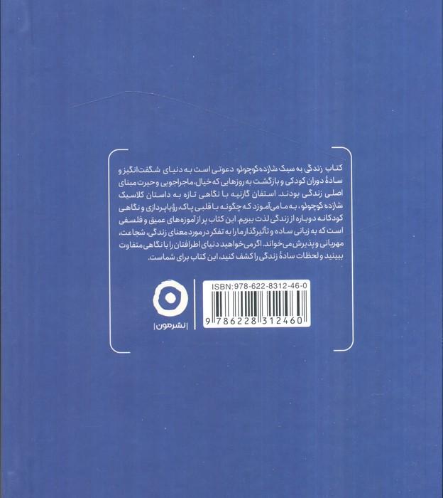 زندگی به سبک شازده کوچولو (راهنمای بزرگ سالان برای کشف دوباره خیال،ماجراجویی و حیرت)