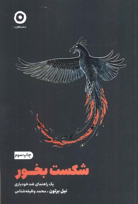 شکست بخور (یک راهنمای ضد خودیاری)