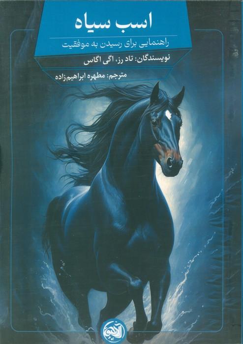 اسب سیاه (راهنمایی برای رسیدن به موفقیت)