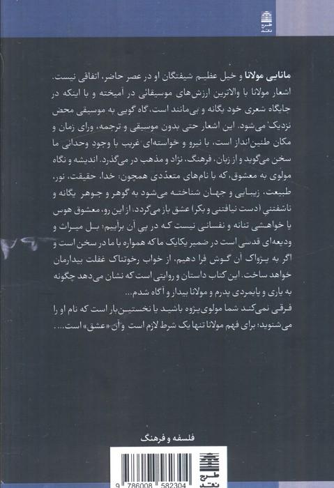 درمانگری مولانا (چگونه 1 شاعر عارف آشفته حالی های زندگی مدرن مرا درمان کرد؟)