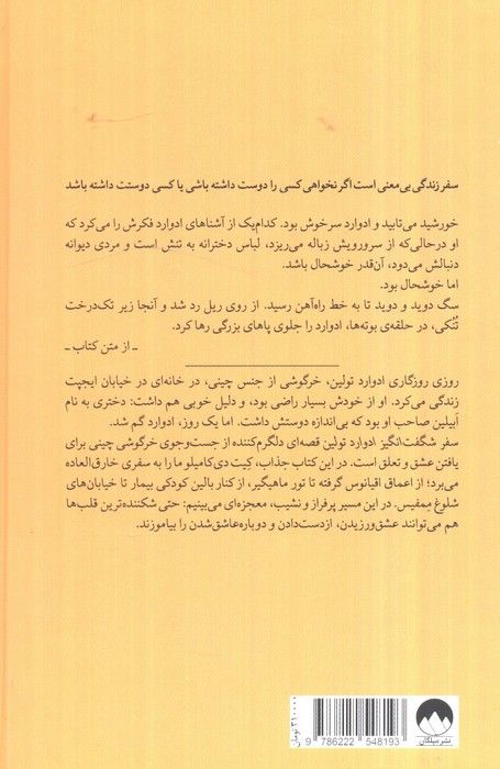 سفر شگفت انگیز ادوارد تولین