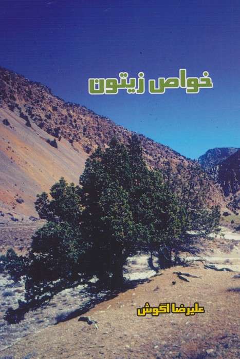 خواص زیتون
