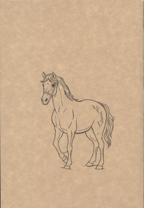 دفتر یادداشت خط دار (کد F106)