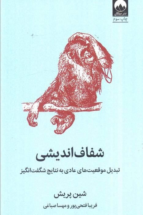 شفاف اندیشی (تبدیل موقعیت های عادی به نتایج شگفت انگیز)