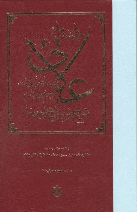 دانشنامه علائی (منطق،طبیعیات،موسیقی،الهیات)
