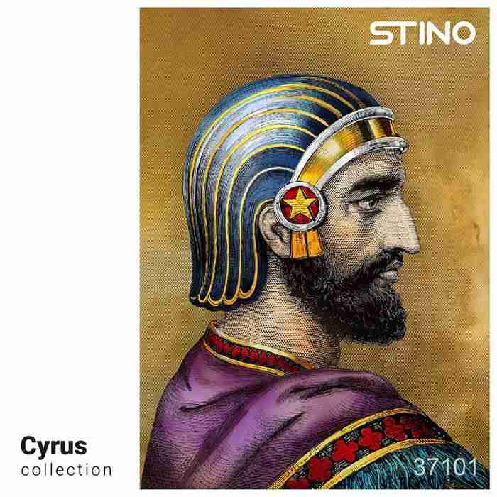 پازل شیشه ای استینو 1000 تکه طرح کوروش (CYRUS)،(کد 37101)،(باجعبه)