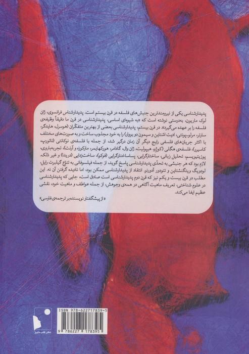 درآمدی بر پدیدار شناسی