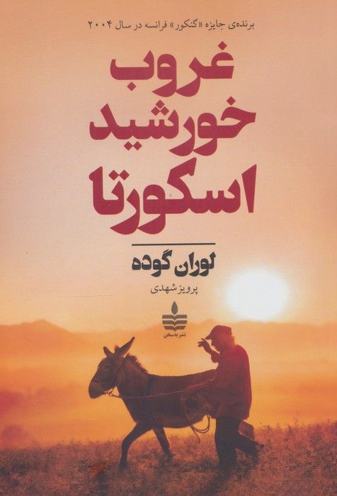 پدیدارشناسی ادراک