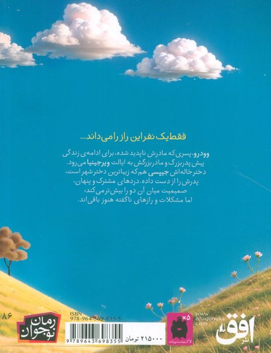 پسر خاله وودرو (رمان نوجوان86)