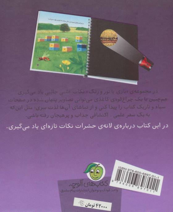 در لانه ی حشرات (بازی با نور و رنگ)