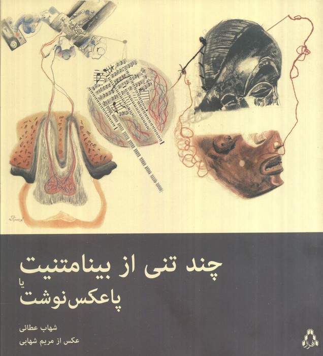 چند تنی از بینامتنیت یا پاعکس نوشت (گلاسه)