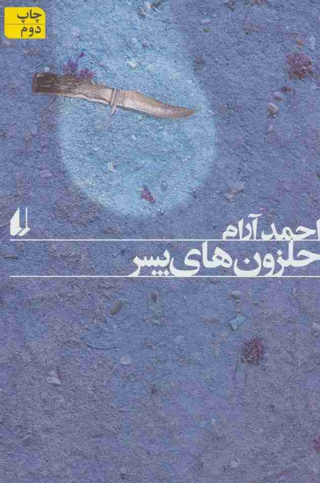حلزون های پسر (ادبیات امروز،رمان101)