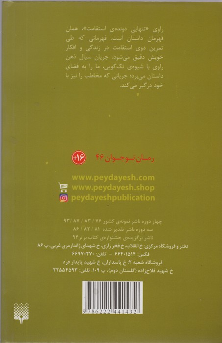 تنهایی دونده استقامت (رمان نوجوان13)