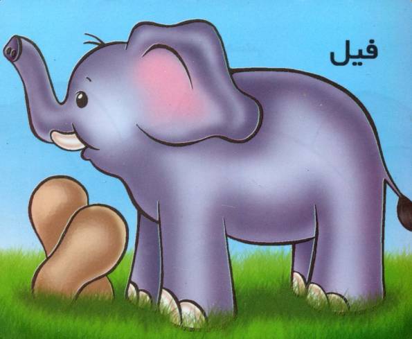 فیل (گلاسه)