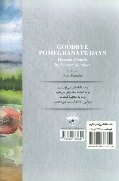 خداحافظ روزهای اناری (حسین پناهی از نگاه دیگران)