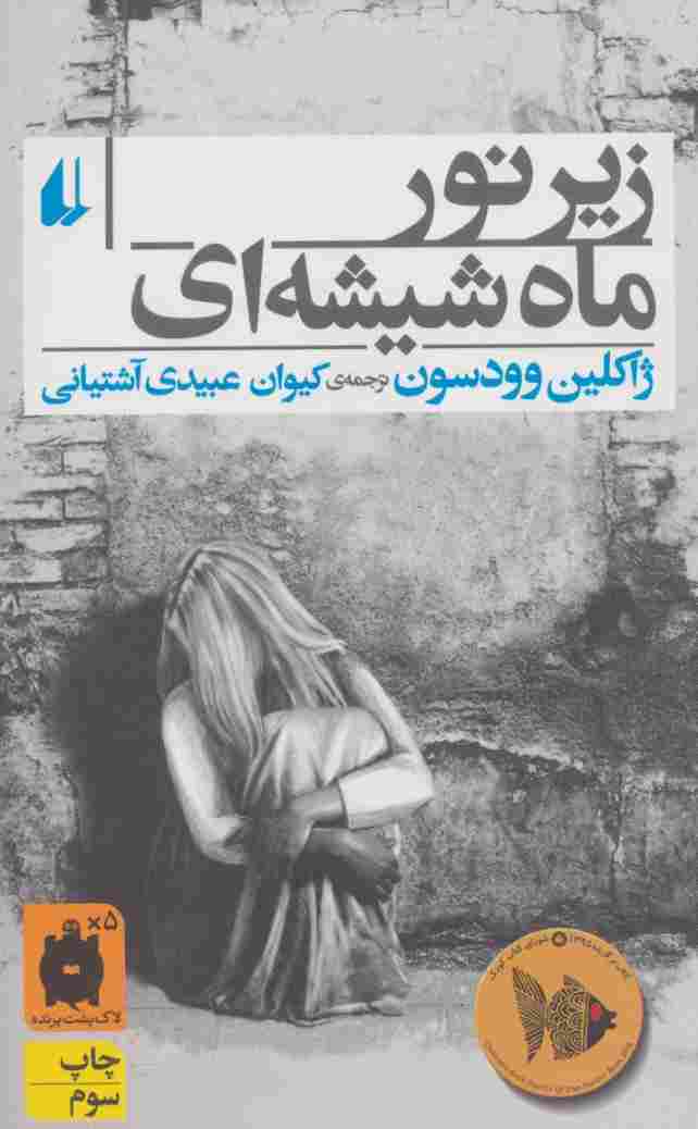 زیر نور ماه شیشه ای (رمان جوان 1)