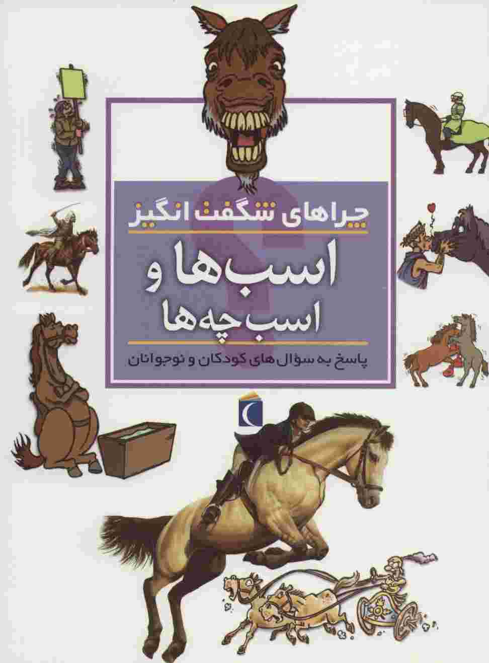 اسب ها و اسب چه ها (چراهای شگفت انگیز)