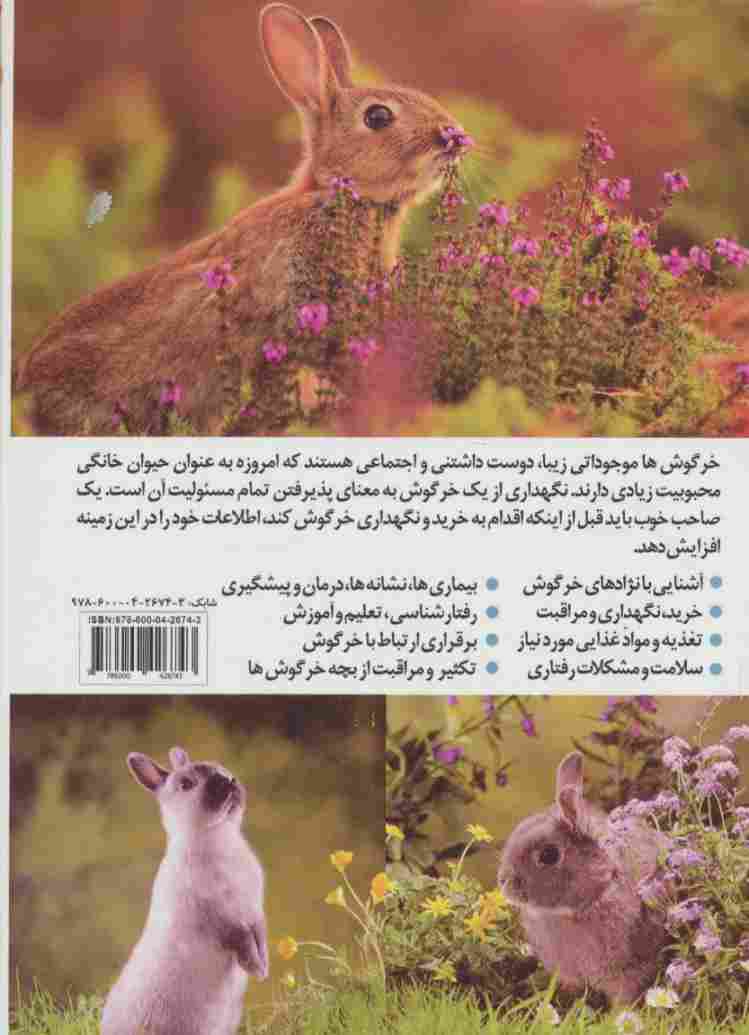 خرگوش (راهنمای کامل نگهداری،پرورش و بیماری ها)