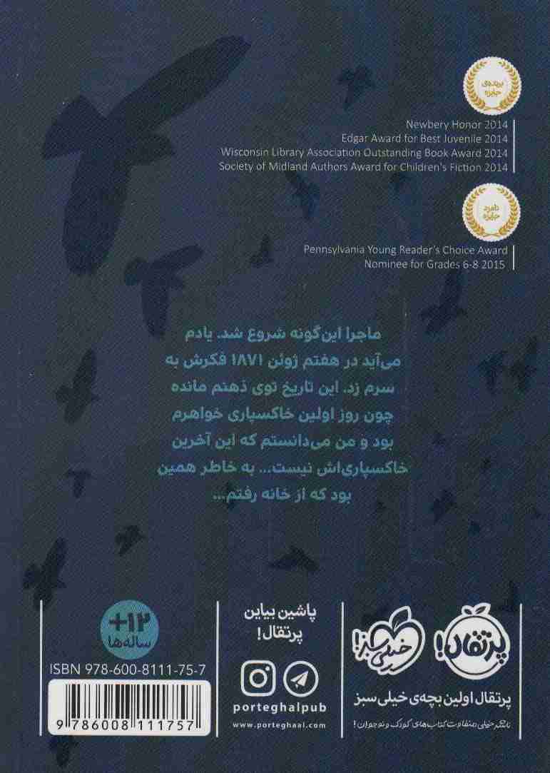 کبوتر های وحشی