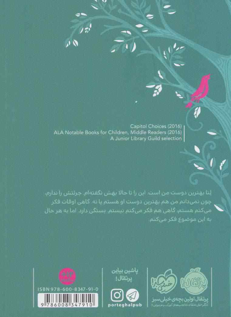از تابستان تا تابستان