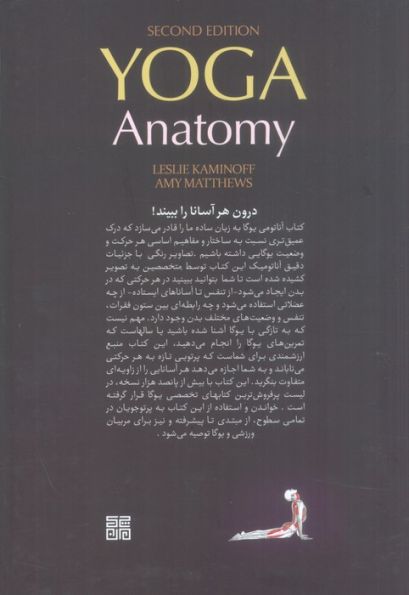 آناتومی یوگا به زبان ساده