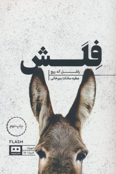 فلش