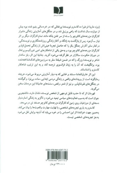 جنگل بکر