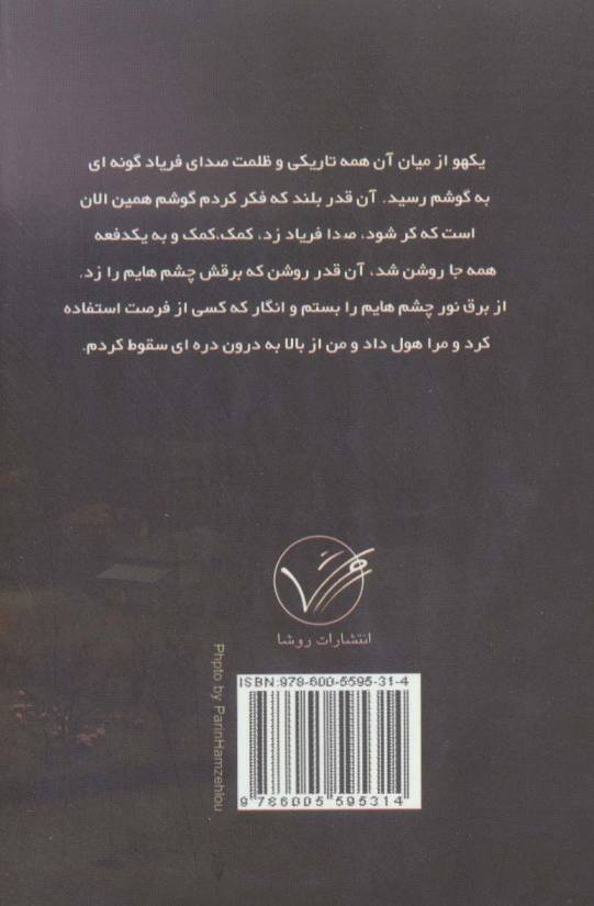 گمشده در غبار