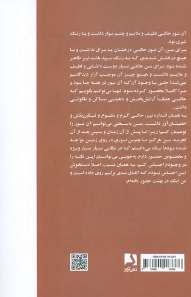 به سوی نور (ده مرحله ای که روح انسان،پس از مرگ پشت سر می نهد)،(کتاب های در قلمرو نور)