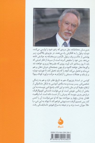 استاد پترزبورگ