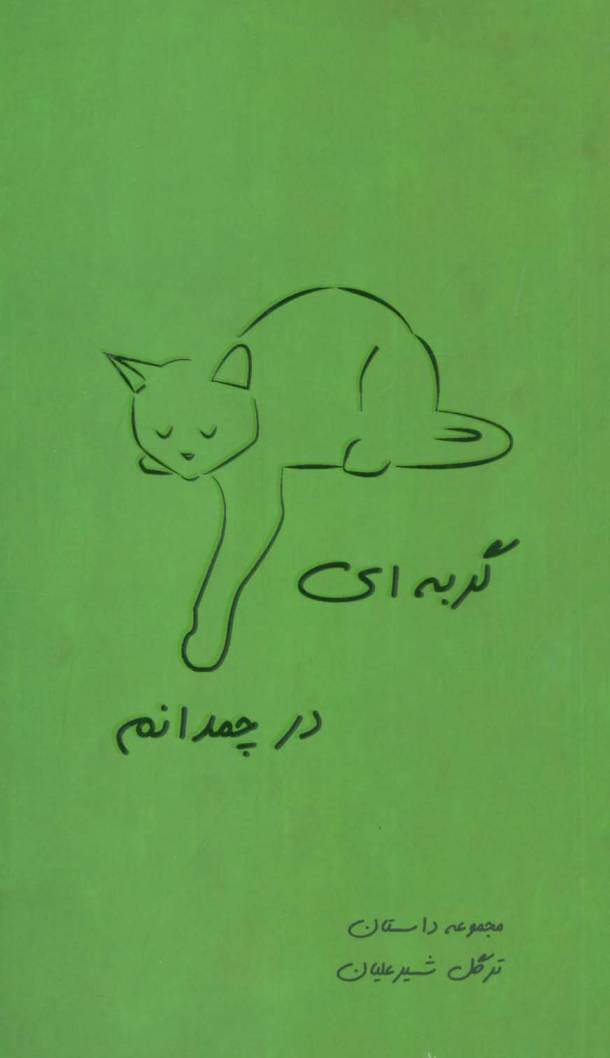 گربه ای در چمدانم (مجموعه داستان)