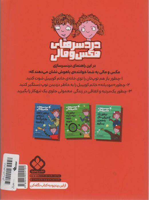 چطور یک خلافکار را دستگیر کنید (دردسرهای مکس و مالی)