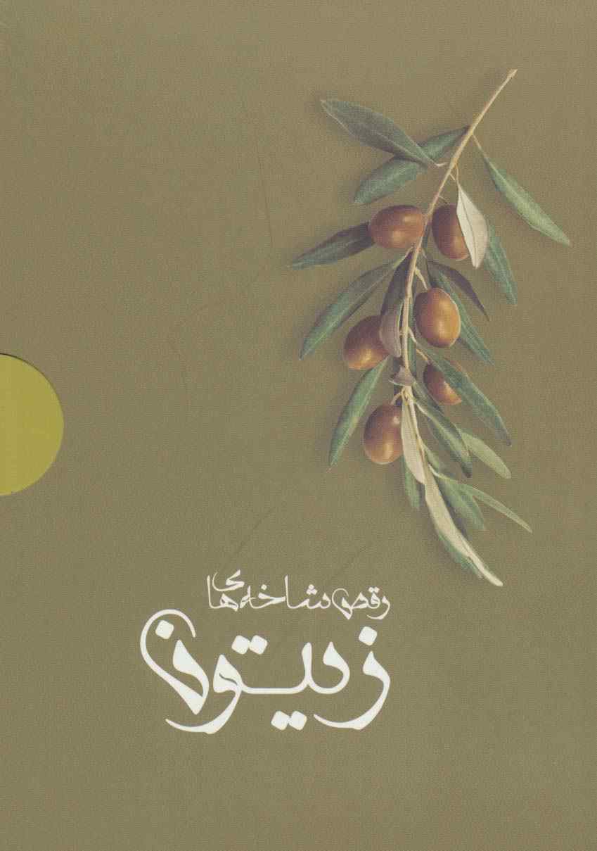 رقص شاخه های زیتون (4جلدی،باجعبه)