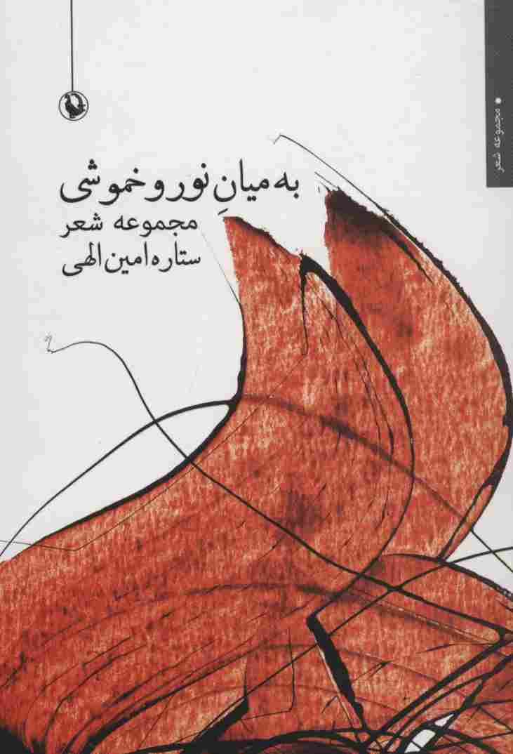 به میان نور و خموشی (مجموعه شعر)