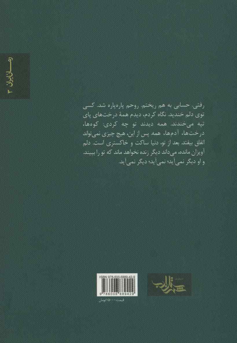 دیلمزاد (داستان ما،رمان ایران 3)