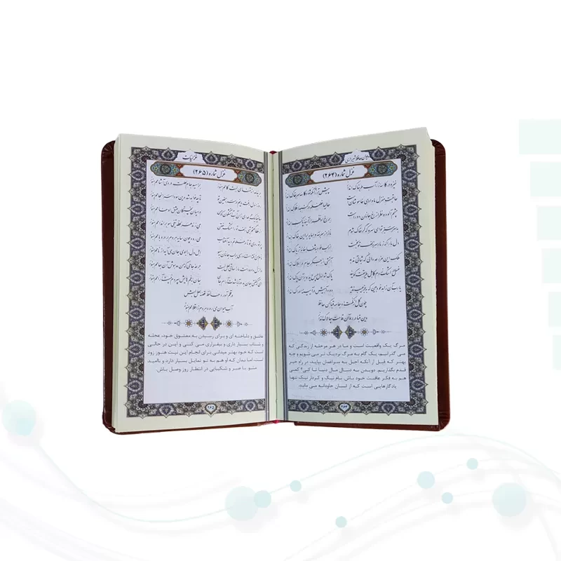 حافظ پالتویی چرم با گلدان الماس تراش